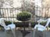 Picture N 15