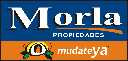 morla propiedades