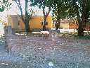 Lote 1