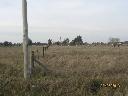 LOTE BARRIO COPENHAGUE 001.jpg