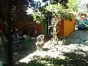 20131006_150838.jpg