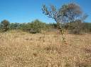 Lote Cordoba.jpg