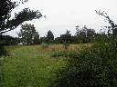 PC310003.JPG
