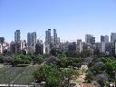 3100 JUNCAL 6.jpg