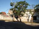 DSC03338.JPG