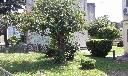 jardin.jpg