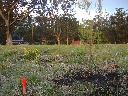DSC01939.JPG
