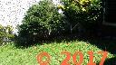 20170313_122457.jpg