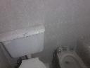 20170502_162937.jpg