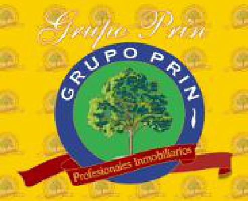 Grupo Prin - G.P.